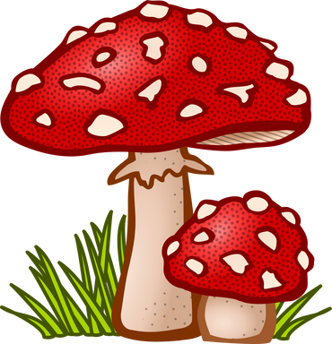 Mushroom Fungi Icon