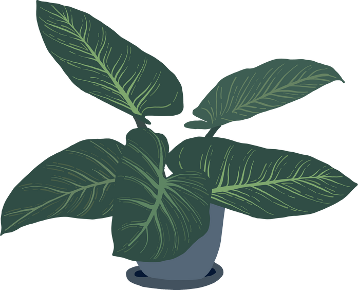 Houseplant Doodle Illustration